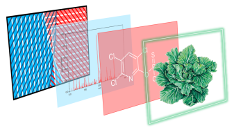 Mass spectrometric identification of pesticide in lettuce